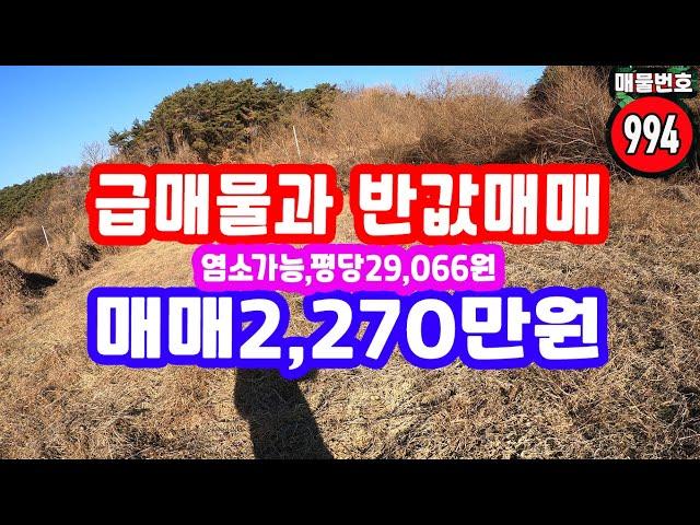 경북땅 시골땅 염소 가능 땅 급매물 과 반값매매 평당 29,066원,12,762,000원 급다운 급매물 농막 건축 체류형쉼터 OK 산 골 땅 산촌생활 삼면 산 속 골 막장