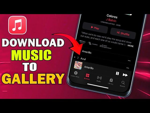 How to download mp3 music to Phone Gallery (Android and iphone)