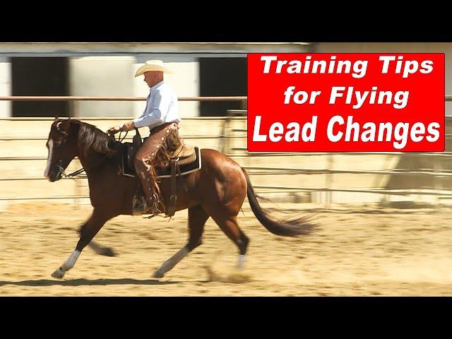 Horse Training Tips for Flying Lead Changes - Reining Horse Training for Flying Lead Changes