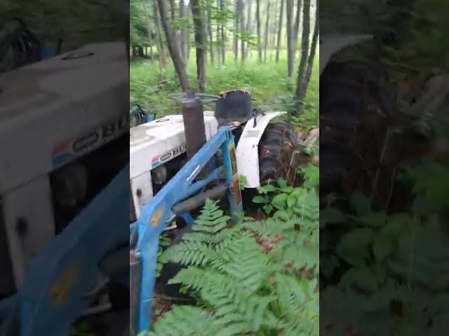 Make sure to subscribe so you don't miss our next tractor revival! #shorts #satohbuck #tractor