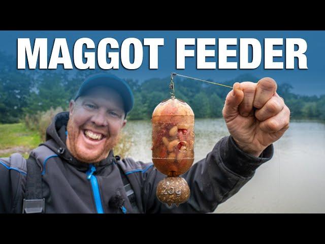 Maggot Feeder Fishing | Andy May's Basics Guide