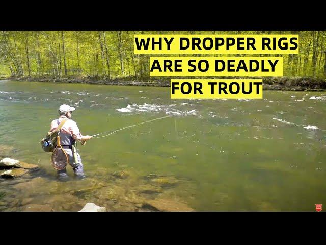 Dry Fly & Dropper Rigs | How To & Why So Effective