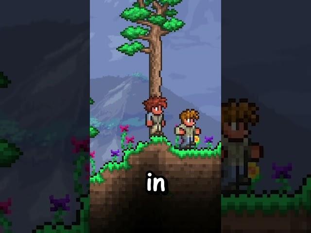 TWO SWORD SHRINES IN THE SAME AREA IN TERRARIA 1.4.4.9!! 