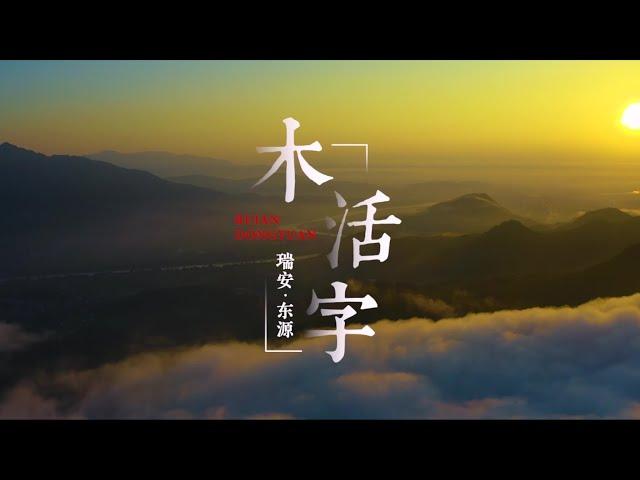 非遗技艺 | 快时代的“慢动作”，穿越800年时光——瑞安东源“木活字”