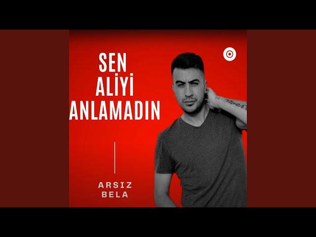 Sen Aliyi Anlamadın