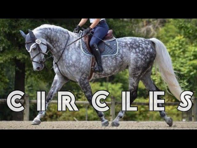 Circles || Equestrian Music Video ||