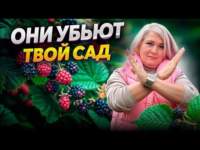 Ландшафтная мастерская ЭТИ 10 РАСТЕНИЙ СДЕЛАЮТ ИЗ ТВОЕГО САДА АД