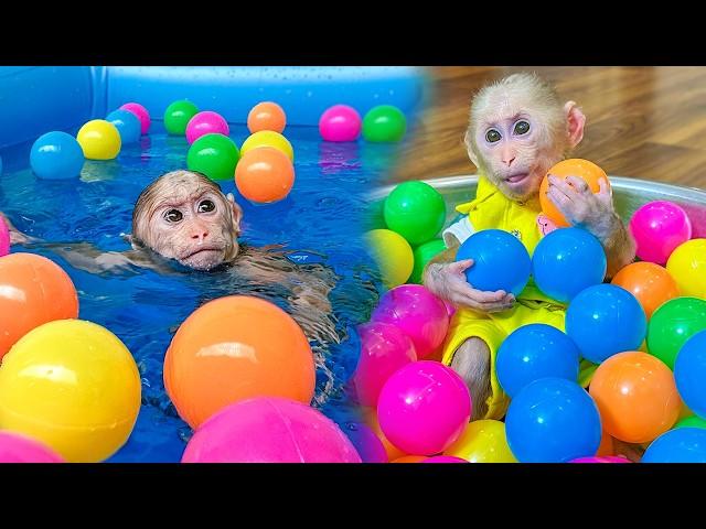 Monkey Lala is excited to swim with the balls in the new pool!