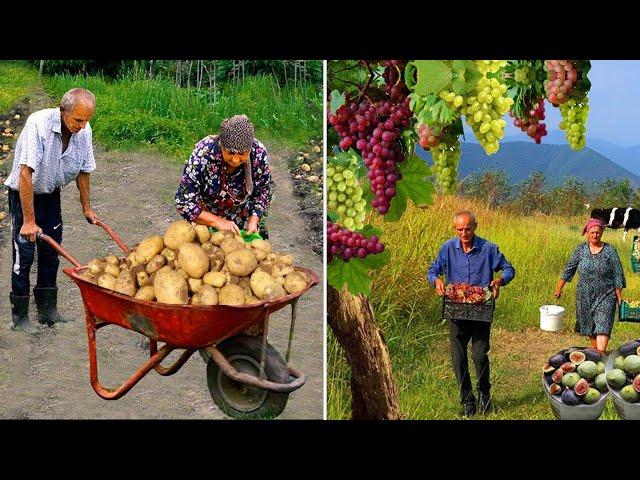 Sweet Grandma's The Best Recipes for 2 Hours | Delicious Life in Mountain Village