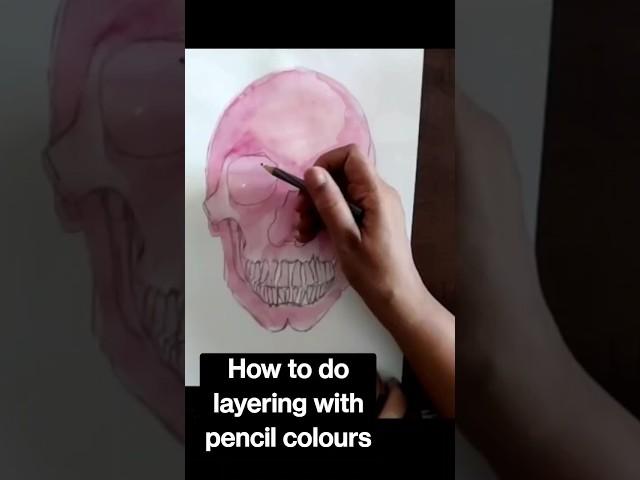 coloured skull with colour pencils  #shortsyoutube #shortsfeed #sketchingtips #skulldrawing