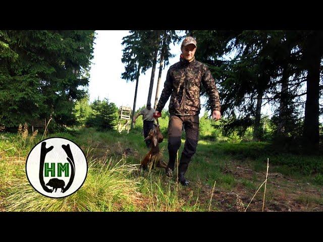 Jagd auf Rot-und Rehwild | Familienjagd  - Jagdkrone