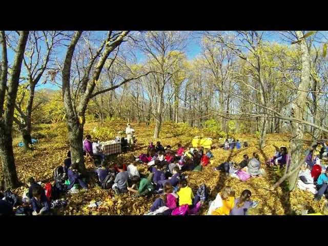 Travel in mountain Paiko - Ecotourism in chestnut forest of "Glykomageia" artisanal, video:3'39''