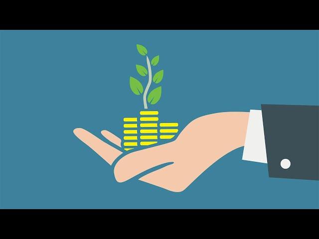 The Basics of Investing (Stocks, Bonds, Mutual Funds, and Types of Interest)