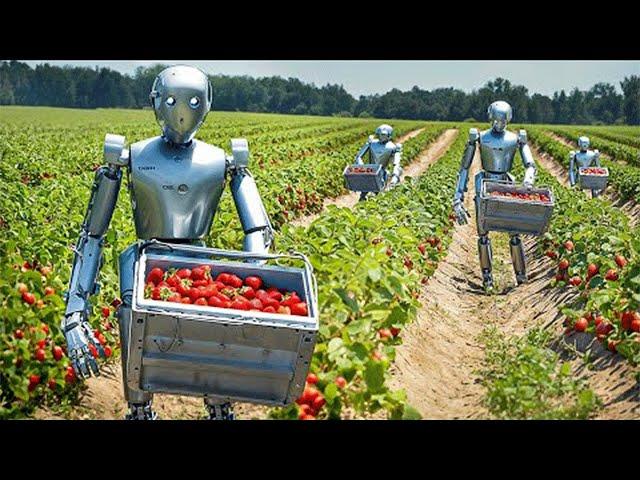 ROBÔS AGRÍCOLAS DO FUTURO QUE ESTÃO REVOLUCIONANDO O AGRONEGÓCIO