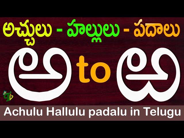 How to write Telugu varnamala #achulu hallulu padalu in telugu | Learn Telugu Alphabets |Aksharamala