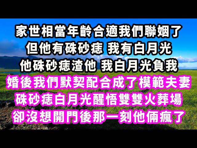 家世相當年齡合適我們聯姻了，但他有硃砂痣我有白月光，他硃砂痣渣他我白月光負我，婚後我們默契配合成了模範夫妻，硃砂痣白月光醒悟雙雙火葬場，卻沒想開門後那一刻他倆瘋了#追妻火葬場#大女主#現實情感#家庭