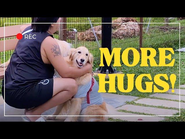 GOLDEN RETRIEVER HUGS A STRANGER AT DOG PARK TO AVOID GOING HOME  | DOG VLOG 