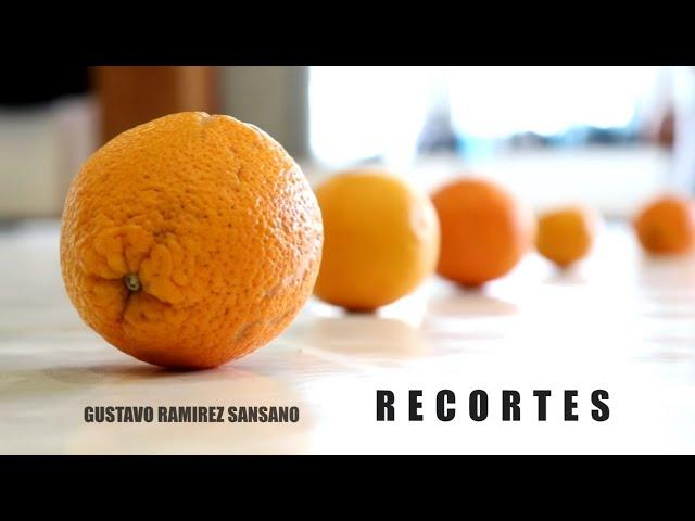 Gustavo Ramirez Sansano: Recortes – werk trailer No.1