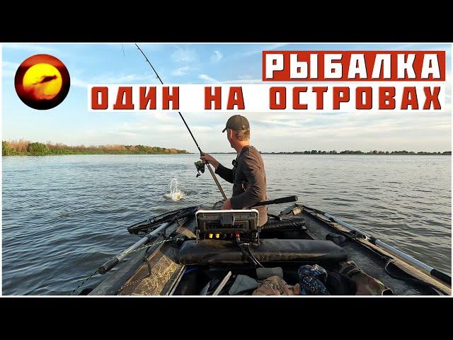 Рыбалка! ОДИН НА ОСТРОВАХ / Сазан, Сом и Шакалы в Дельте Волги