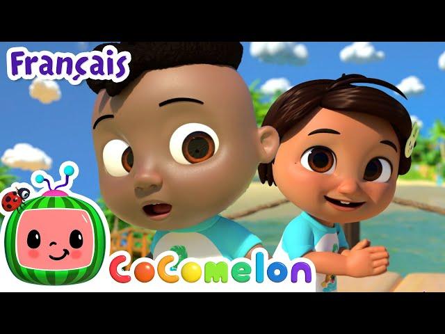 Les animaux de la plage | CoComelon - L'Heure de Cody | Chansons pour bébés