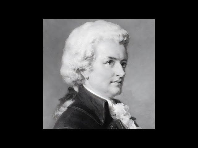 Wolfgang Amadeus Mozart - Symphony No. 40 In G Minor, K. 550 Molto Allegro