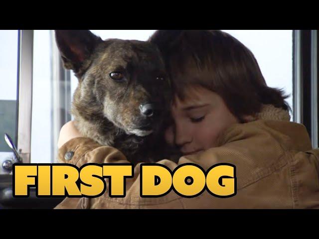 First Dog (FAMILIENFILM I komplett auf Deutsch, Tierfilm in voller Länge anschauen, kostenlos)