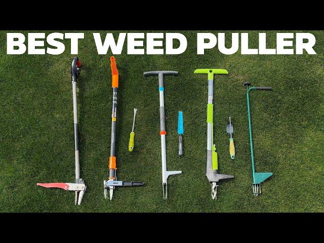 BEST Weed Pulling Tool Comparison