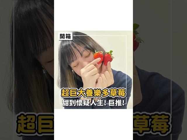 人生吃過最甜草莓‼️｜Cathy Anyway 隨便啦凱西