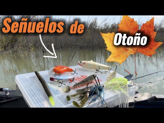 Secretos de Pesca en Otoño: Trucos y Consejos