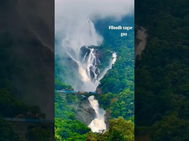 #dudhsagar water falls  train#shorts