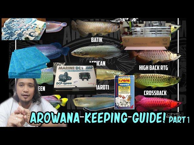 Arowana Keeping Guide Part 1 (English Subtitle)