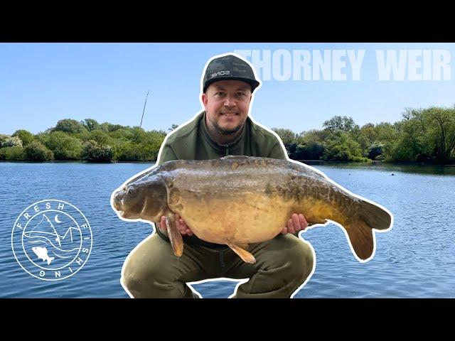 Epic Carp Showdown at Thorney Weir! | Carp Fishing 2025