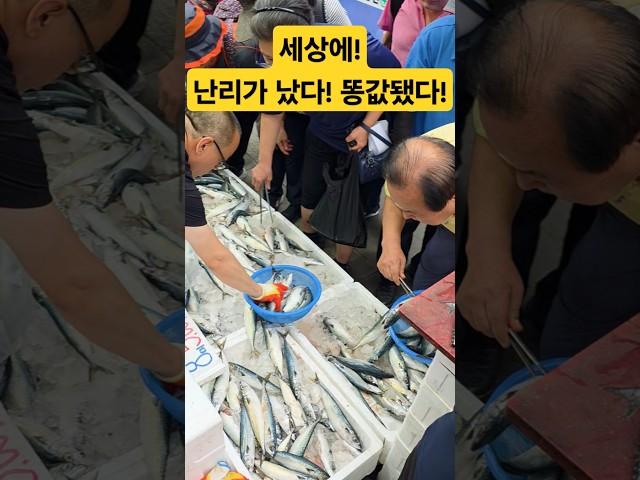 난리 났다! 가격이 미쳤어! 똥값 됐다 #시장 #맛집 #폭락 #food #먹방