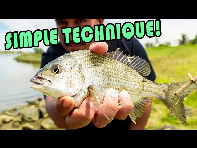 Secret to Catching BREAM in MELBOURNE!