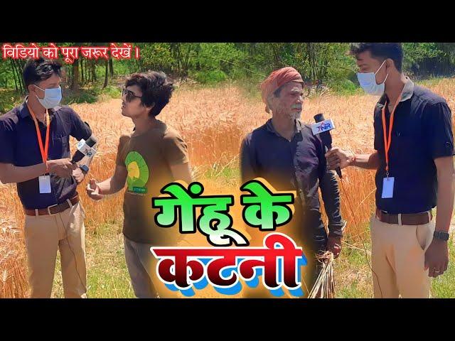 गेंहू की कटनी - Genhu ki katani | Tahalka news reporter | Gobinda comedy videos 2023