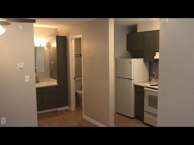 Apartment for Rent in Denver: Studio Type  - 980 S Dexter St #2 by Thornton Property Management