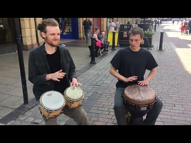 Bongo Busk!