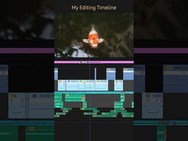 One Minute in Oahu #editingtutorial #editingskills #hawaii #editor