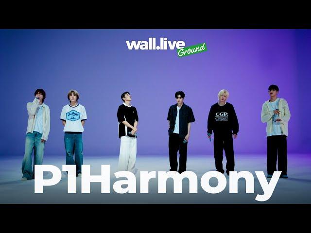 [4K] 피원하모니 P1Harmony - Last Call + All You |  wall.live 월라이브 - Ground