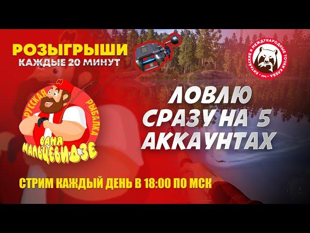 Фармлю на 5 аккаунтах одновременно. Янтарное - Старвасы. Острог - лещ. Медное - цветняк.
