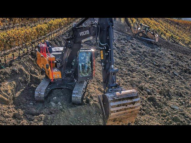 Volvo EC220eLN CAT D6 preprazione nuovo impianto vigneto Team Ghisolfi