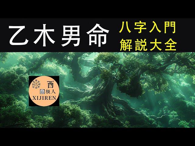 天干深度解析：乙木男命五行格局大揭秘I【八字學習天干詳解大全】五行乙木男命格的讲解I乙木男明星I周杰伦I刘昊然I鹿晗I陈晓