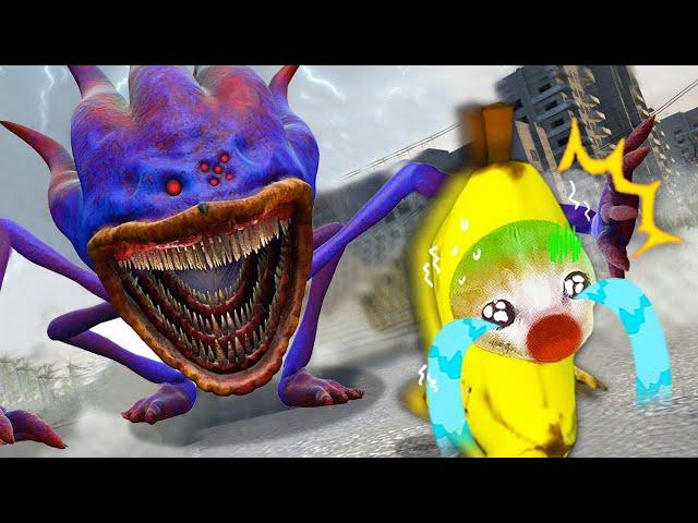 THE SONIC TAPES: Banana Cat's Facing the SHIN SONIC Monsters!  Banana Cat Compilation | Cat MEME 