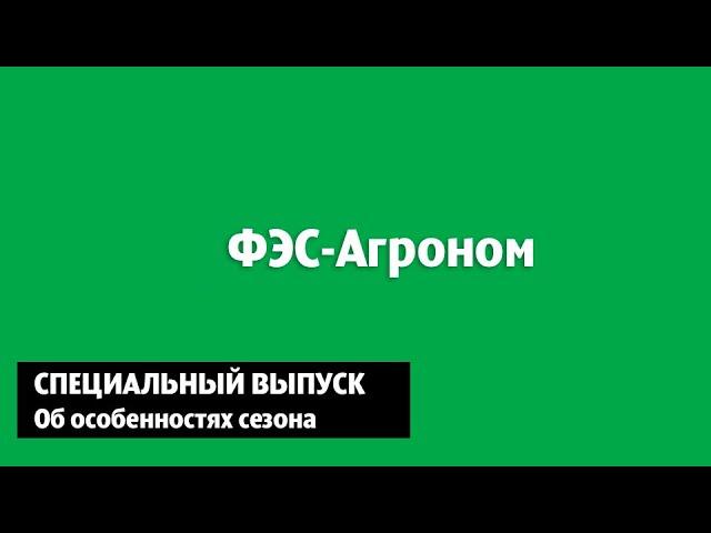 Об особенностях сезона