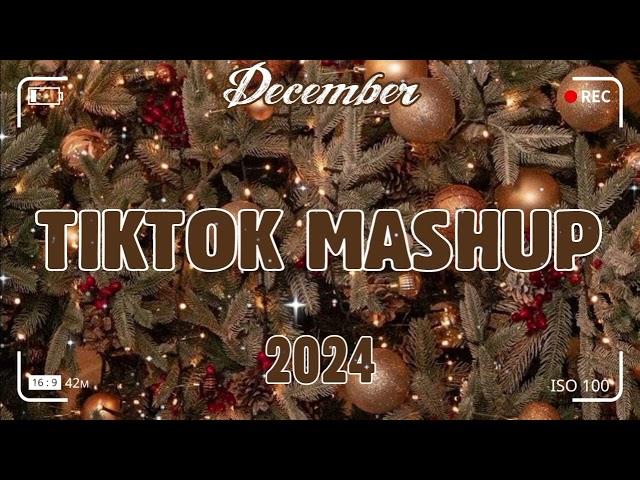 TikTok Mashup December 2024 (Not Clean)