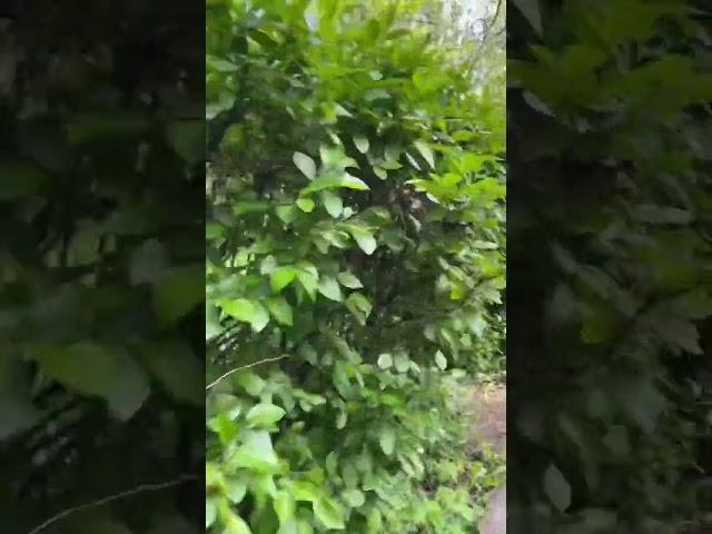 Когда ты занимаешься тем, что нравится, ты испытываешь освобождение #прикол #ве