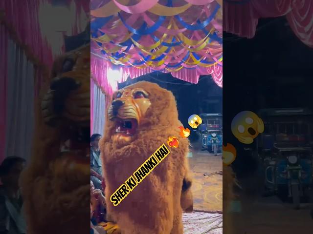 Kitni Sunder Jhanki Hai Sher ki ️‍️‍️‍️‍#shorts #sherawali #sher #maadurga #reels️‍