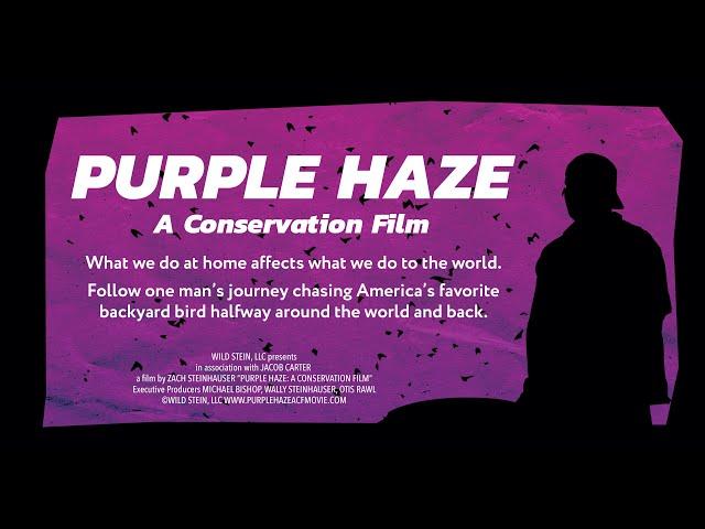 Purple Haze: A Conservation Film