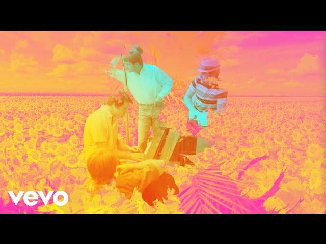 The Beach Boys - Surfer Girl (Visualizer)