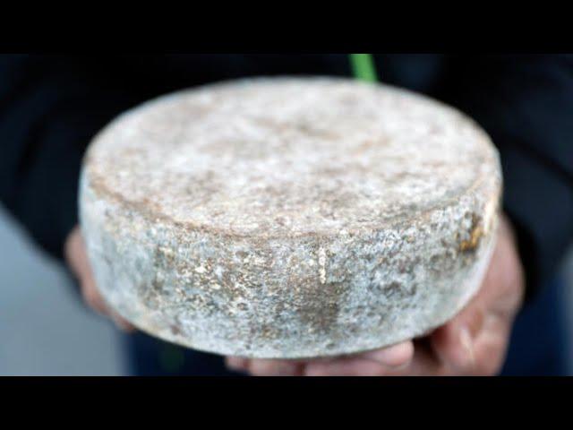 Best Seasonal French Cheeses: A Month-by-Month Guide